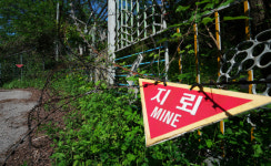 [철원][이재용의 렌즈로 본 DMZ] 곳곳 '지뢰주의'