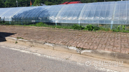 [평창]지방도 424호선 버스승강장 주민 불편…노후 경계석 보도블럭 보수 시급