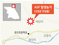 고성 간성읍 2400마리 규모 양돈농가서 ASF 확진