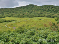 [천도리 통신] 람사르 습지 국내 1호 인제 대암산 용늪을 가다