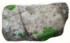 1961년부터 VR… 60년 관통한 지역 미술사