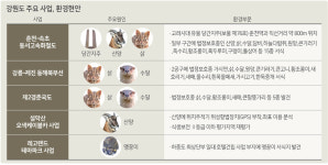 당간지주·삵·산양에 줄줄이 발목 잡힌 주요 SOC사업