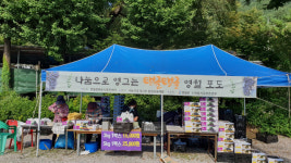 [영월]영월 동서강보존본부 포도체험농장 호평