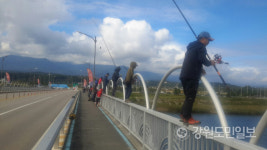 [양양][현장] "4년만에 고향 돌아오는 연어를 보호하라"