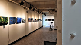 [춘천]4개월 리모델링 마친 아트프라자, 전시환경 오히려 퇴보