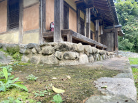 [동해][어떻게 생각하십니까] 이끼·물때 가득… 동해 고택 문화재 관리 미흡