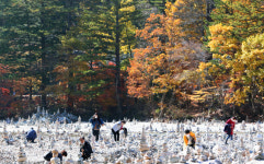 오색으로 물든 백담사