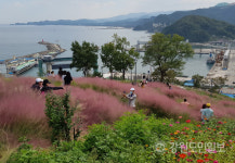 [삼척]삼척 정라항 나릿골 레트로 바람 타고 감성마을 탈바꿈