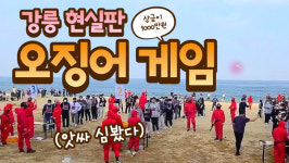 강릉 현실판 오징어게임 최후의 1인은 누구?