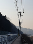 [평창]평창 대화면 하안미리 도로변 전신주 기울어져 대책 시급