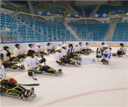 [강릉]강릉 빙상경기장, 문화·전시·체육활동 공간으로 활용