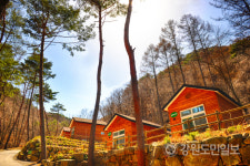 [영월]망경대산자연휴양림 패키지 숲해설 이용요금 강제성 논란