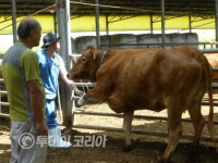 [합천] 가축 무료 순회 진료 실시