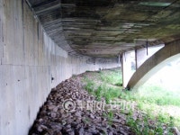 [울산]남산로 생태문화 갤러리 준공