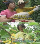 차태현-장혁 다시금 찾은 패떴 희빈-일꾼으로 웃음 선사해