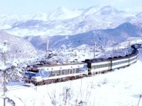 겨울여행 백미 태백산 눈꽃열차 타고 눈구경 해볼까?