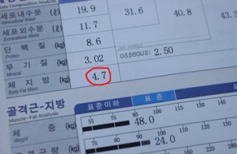 이시영 체지방 4kg '어떻게 뺐니?'