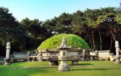 도심 속 세계 문화 유산 동구릉에 가다