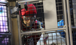 영화 챔프 추입은 이제부터 시작