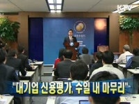 대기업 신용평가, 수일 내 마무리