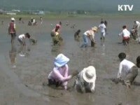 여행을 떠나요 생태·체험형 관광