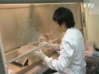 신종플루 군부대 감염 차단 행정력 집중