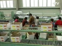 유통구조 개선, 상시적 물가안정