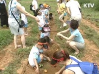 농촌개발사업으로 되살아난 농촌