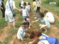 농촌개발사업 으로 되살아난 농촌