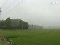 농촌개발사업 으로 되살아난 농촌