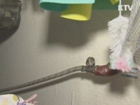 2014년부터 고령·성주에 도시가스 공급