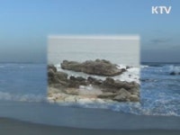 동해에서 새로운 바위섬 700개 찾았다