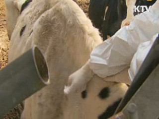 전남 농협, 영암-무안 구제역 확산에 대비한 선제적 방역 조치 강화