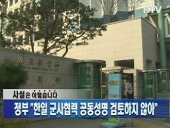 정부 