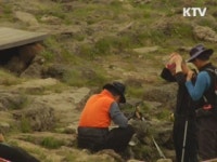 한라산 둘레길 첫선···3월 부분 개통