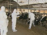 호남·경남지역까지 예방백신 접종 확대