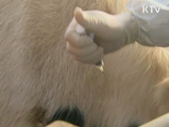 '구제역 발생지역 방문 자제해 주세요'