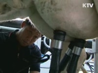 구제역 진정 국면···우유대란 없을 것