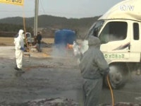 시·군 단위 가축 이동제한 모두 해제