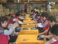 고령인구 1천만명···60% 일하고 싶다