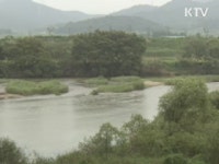 생태의 보고 담양습지를 가다