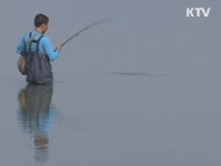 제철 만난 망둥어 낚시