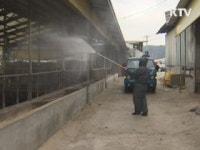 김장철 앞두고 농수산 물가 안정세