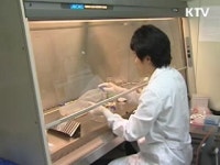 '글로벌 강소기업' 110곳 집중 육성