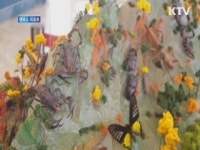 법인전주곤충캠퍼스 | 세계 대형 곤충 400여마리 한자리에 [캠퍼스 리포트]