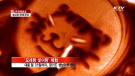 모래·빛 미술 체험, 창의·상상력 쑥쑥 [국민리포트]