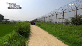 191km DMZ 평화누리길 열렸다