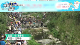 정릉시장 개울장…도심 이색 장터로 인기