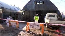 전남 장성·강원 철원에서도 AI 추가 확진