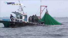 고소한 맛 전어 제철…항·포구 북적